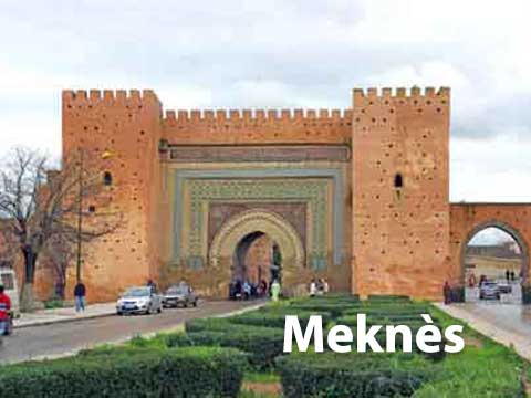 Agence référencement naturel à Meknès
